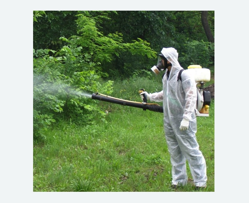 обработка территории от клещей в Шенкурске