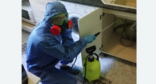 Уничтожение муравьев в квартире. Шенкурск