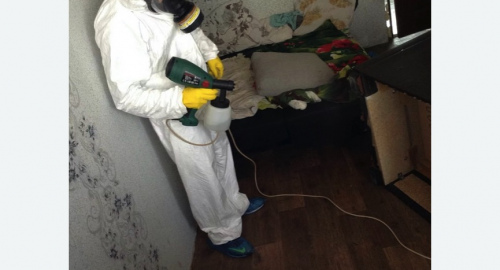 Обработка квартир от насекомых в Шенкурске