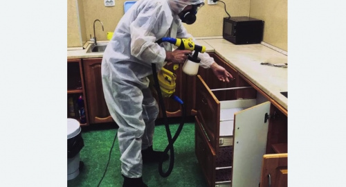 Дезинсекция квартиры. Шенкурск