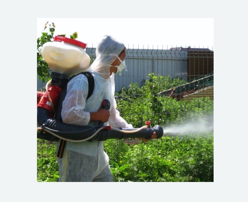 Акарицидная обработка территории в Шенкурске