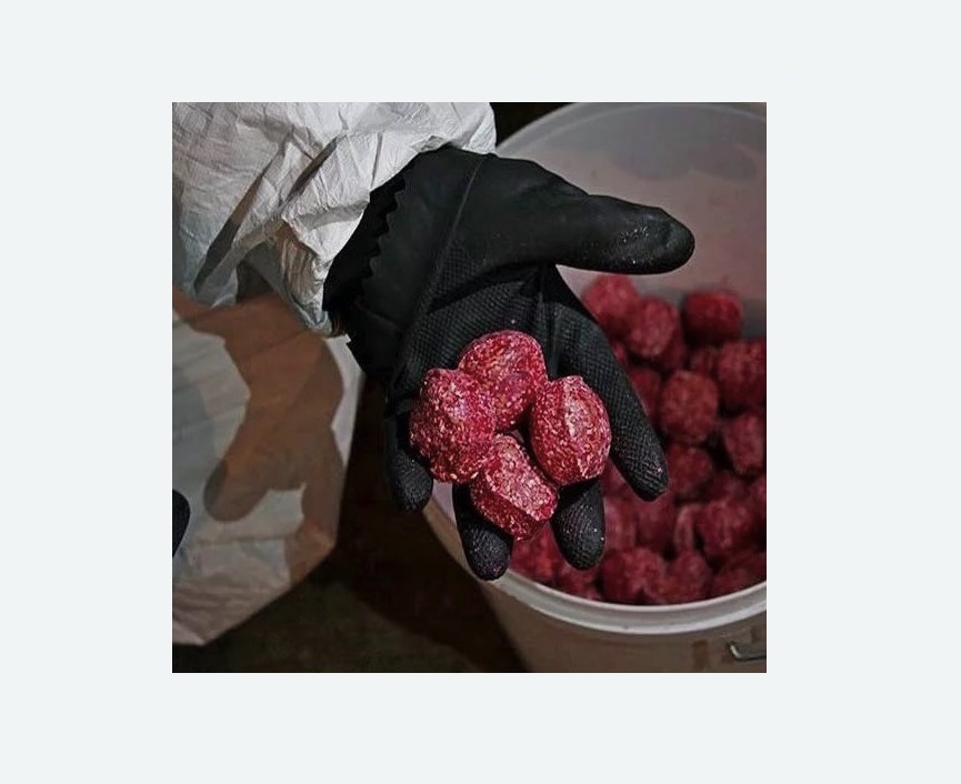 Обработка от крыс в Шенкурске