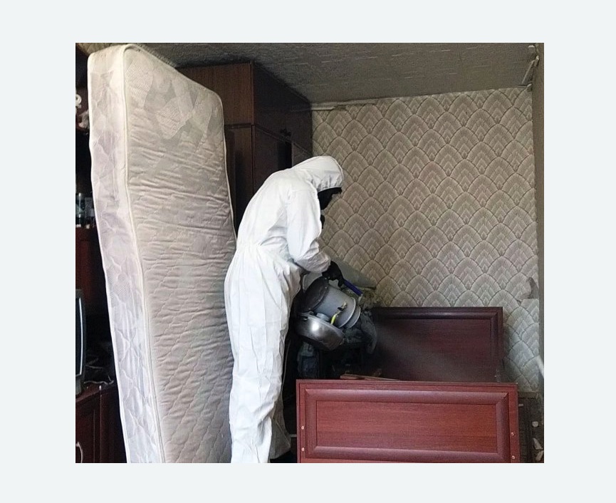 дезинфекция от клопов в Шенкурске