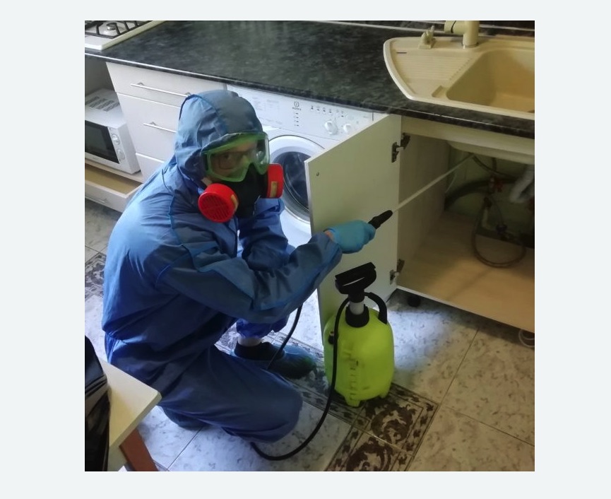 обработка от муравьев в квартире в Шенкурске