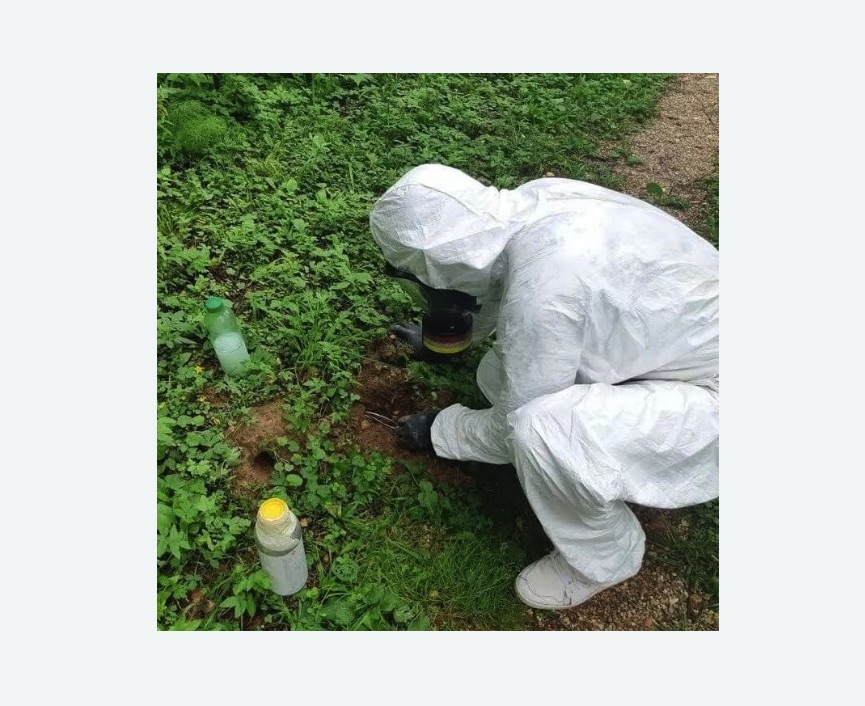 уничтожение кротов на участке в Шенкурске