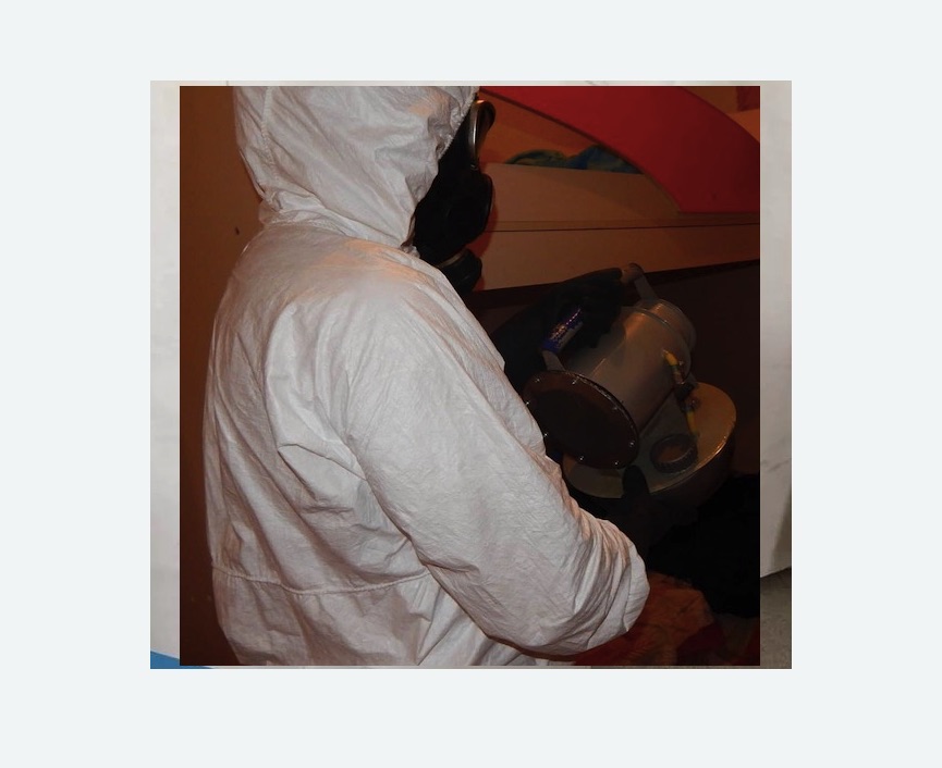 Дезинфекция от муравьев в Шенкурске