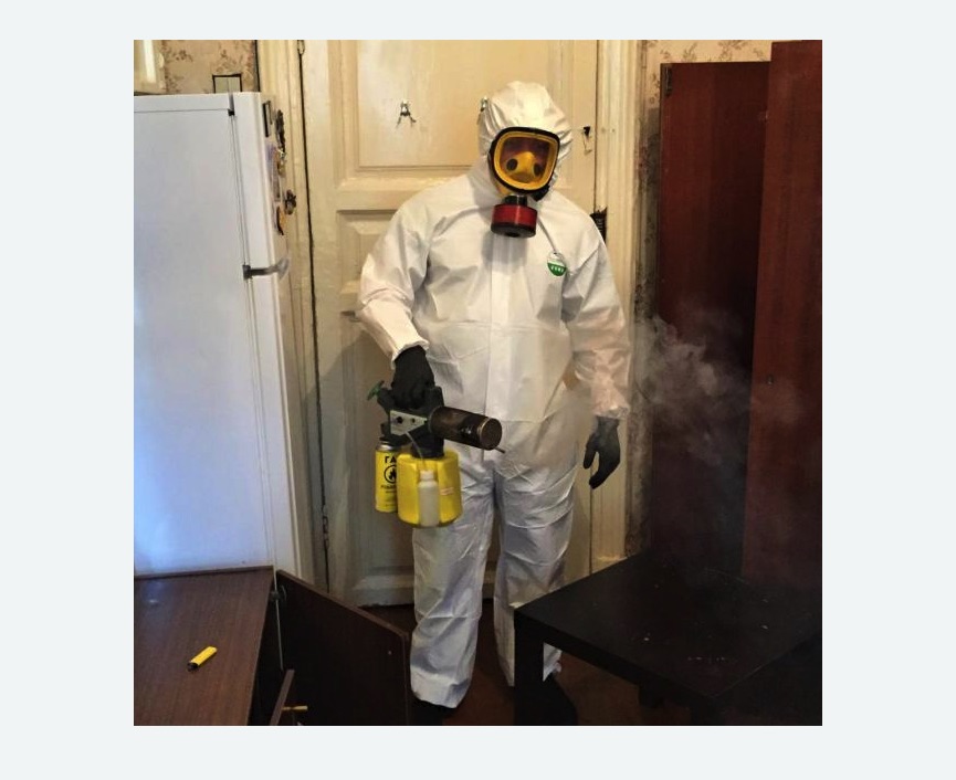 уничтожение муравьев в квартире в Шенкурске